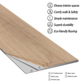 Cover image for Dry Back