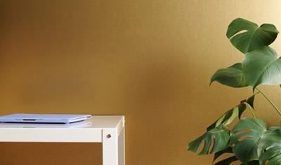 Cover image for DecoMetal® Laminate (Alu 1mm) (Formica)