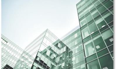 Cover image for SGG PARSOL® 5 mm