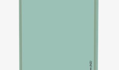 Cover image for Rigips® RBI (H2) 12,5 mm Moisture resistant plasterboard