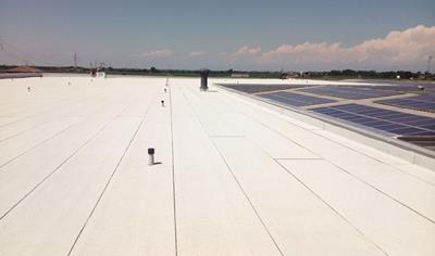 Cover image for Polyflex Light Evolution P