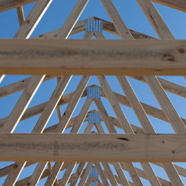 Cover image for Softwood Timber