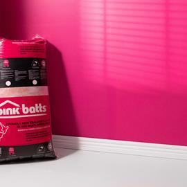 Cover image for Pink® Batts® Ceiling Insulation Products
