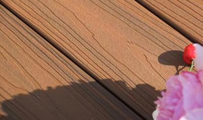 Cover image for Wood plastic composite (WPC) product