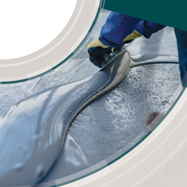 Cover image for Calcium Aluminate Binders - TERNAL® Smart