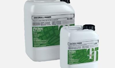 Cover image for Ancorall Primer