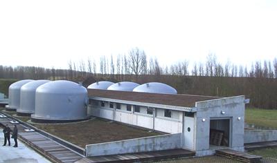 Cover image for Prelasti Fleece