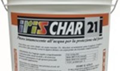 Cover image for IRIS CHAR 21