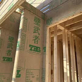 Cover image for Wood Particleboard