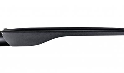 Cover image for Stork