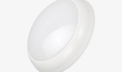 Cover image for Portland