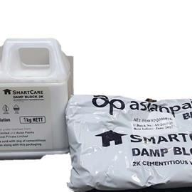 Cover image for SmartCare Damp Block 2K