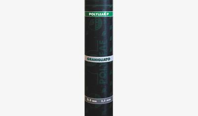 Cover image for Polyleaf P