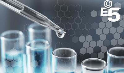 Cover image for E5 Internal Cure