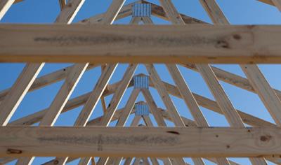 Cover image for Softwood Timber