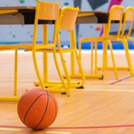 Cover image for Omnisports heterogeneous vinyl flooring