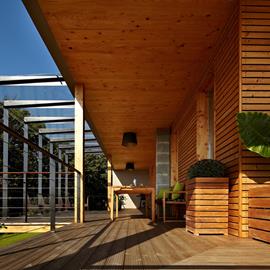 Cover image for ThermoWood ®