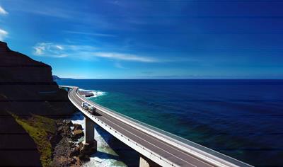 Cover image for SAMIGreen S15R (S45R) (LC-X)