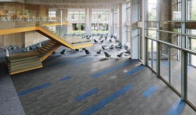 Cover image for Entryway Systems: Liason and Frixtion