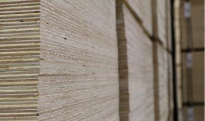 Cover image for Construction plywood sheets