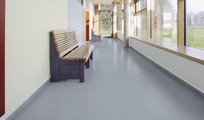 Cover image for Safety flooring - Safetred Sound