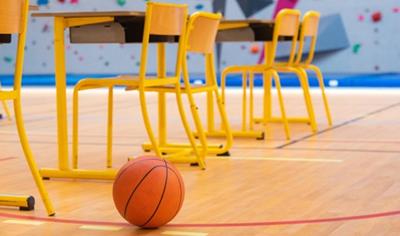 Cover image for Omnisports heterogeneous vinyl flooring