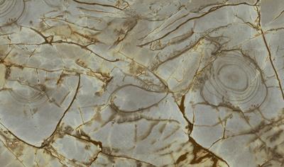 Cover image for Porcelain Tile