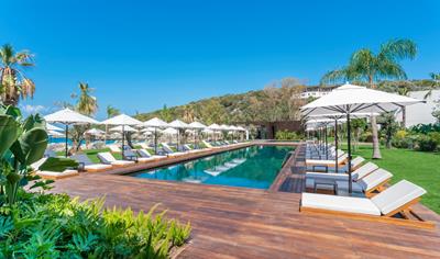 Cover image for Tantimber Thermowood ®