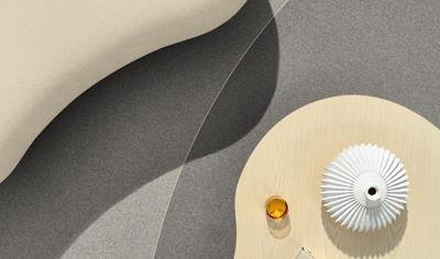 Cover image for iQ LOOP