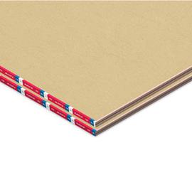 Cover image for PLACO RF®