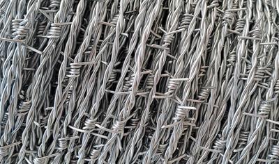 Cover image for Barbed and Barbless wire