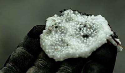 Cover image for Euroblendex 70