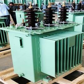 Cover image for 50 KVA 20.5/ 0.41 kV Transformer