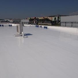 Cover image for Maris Solvent-based products