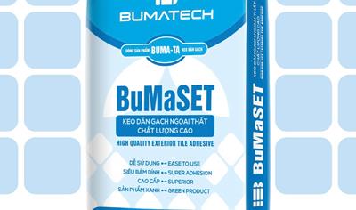 Cover image for BuMaSET