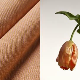 Cover image for Trevira CS - AKEMI CORE OMBRÉ/OMBRÉ300