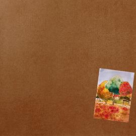 Cover image for EchoFlex