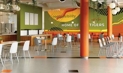 Cover image for Iliad™ and Highlights™