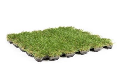 Cover image for ROOFINGREEN LEAF