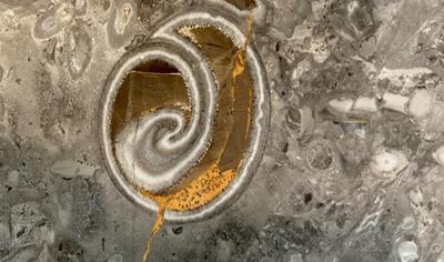 Cover image for 1m² of Billiemi "Bottarga grey" marble slab, from the Bordonaro quarry, 2 cm thick, sandblasted or polished, produced by SO.F.I.L. srl