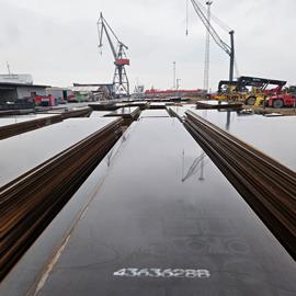 Cover image for Steel Plate