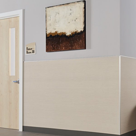 Cover image for Formica® Hardstop® Decorative Protection Panels 