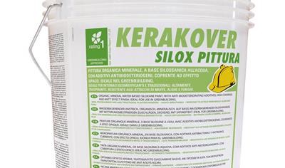 Cover image for Kerakover Silox Pittura
