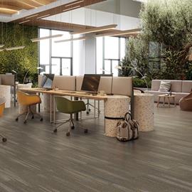 Cover image for Vinyl Flooring (LVT)