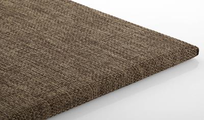 Cover image for SCG Cylence Zandera