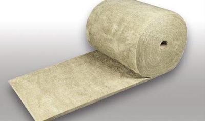 Cover image for NFSP ALU P