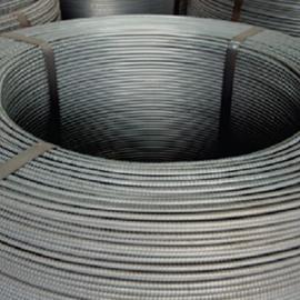 Cover image for Bar in Coil