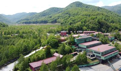 Cover image for Lead and Zinc mines