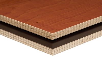 Cover image for WISA spruce plywood, coated