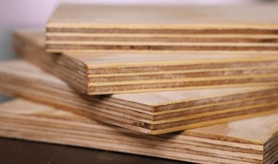 Cover image for Marply® Pine Plywood